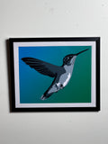 Humming Bird Print